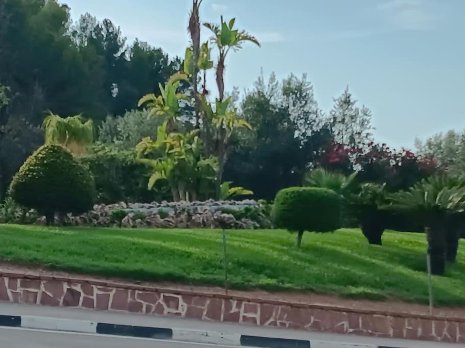 Gilet Senderismo Bici Parking 20 Min Valencia Daire Dış mekan fotoğraf